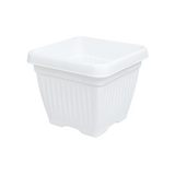 Hug A Plant |Bello Square 20CM Plastic Pot for Home & Garden (Pack of 1)