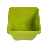 Hug A Plant | Bello Square 35CM Plastic Pot for Home & Garden (Pack of 1)