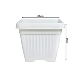 Hug A Plant |Bello Square 20CM Plastic Pot for Home & Garden (Pack of 1)