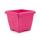 Hug A Plant |Bello Square 20CM Plastic Pot for Home & Garden (Pack of 1)