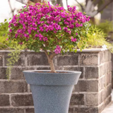 Hug A Plant | Classic Planter Rotomolded Round Plastic Pot for Home & Garden (Pack of 1, Midnight Stone Finish)