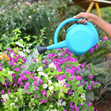 Water Can 5 Litre for Gardening Fertilizing Watering Flowers Plants