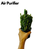 Cereus Fairy Castle Cactus Live Plant in 4 Inch Pot