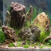 Hole Rock for Decoration |Garden|Table|Terrariums| Home Decor|Vase Fillers