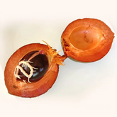 Red Faisan Fruit (Pouteria Viridis) Seedling Fruit Plant (Home & Garden Plants)