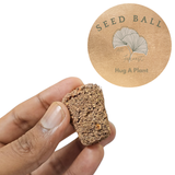 Gulmohar (Delonix regia) | Seed Balls