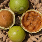 Rovak Fruit (Strychnos nux-blanda) Seedling Fruit Plant (Home & Garden Plants)