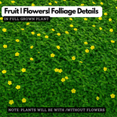 Nayuruvi (Tribulus terrestris) Live Medicinal Plant (Home & Garden)