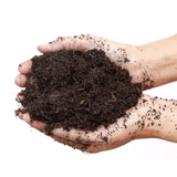 Hug A Plant PH Booster Organic Growth Booster - Enriched with Nutrients, Humic Acid & Phosphate