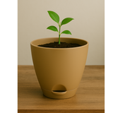 Hug A Plant | Smart Aqua for Home & Garden