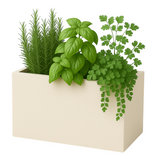 Quebec Rotomolded Pots for Home & Garden (Pack of 1)