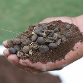 Hug A Plant Goat Dung Manure Organic Fertilizer