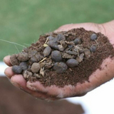 Hug A Plant Goat Dung Manure Organic Fertilizer