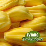 EVIARC The Sweetest Jackfruit Plant Budded Fruit Plant (Home & Garden Plants)