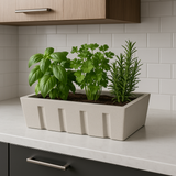 Kitchen Garden Planter Rotomolded Pots for Home & Garden (Pack of 1)