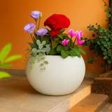 Globe Rotomolded Pots for Home & Garden (Pack of 1)