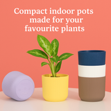 Ibiza 4 Inch Decorative Planters | Multicolour Planters | Ideal for Office, Home & Garden