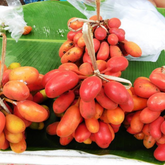 Kriel Fruit Plant (Home & Garden Plants)