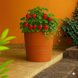 Fruit Rotomolded Pots for Home & Garden (Pack of 1)