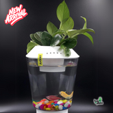 Hug A Plant | White Colour Beta Pot for Aquarium(2.5 ltr)