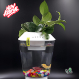Hug A Plant | White Colour Beta Pot for Aquarium(2.5 ltr)