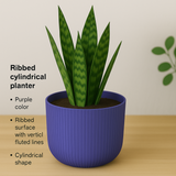 Hug a plant Ebizia Plastic Pot for Home & Garden (Pack of 1)