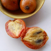Udara Fruit (Chrysophyllum Albidum) Seedling Fruit Plant (Home & Garden Plants)