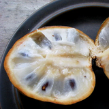 Beach Sugar Apple (Annona Salzmannii) Seedling Fruit Plant (Home & Garden Plants)