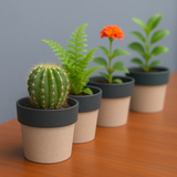 Eco Arty Round | Bamboo-Based, UV-Protected Tabletop Planters | Eco-Friendly Pots for Indoor Plants, Home Décor, Balcony & Garden