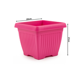 Hug A Plant |Bello Square 20CM Plastic Pot for Home & Garden (Pack of 1)