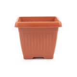 Hug A Plant |Bello Square 20CM Plastic Pot for Home & Garden (Pack of 1)