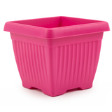 Hug A Plant | Bello Square 30CM Plastic Pot for Home & Garden (Pack of 1)