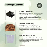 Hug A Plant : Orchid Combo ;All in one set