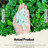 White Painted Pebbles for Decoration |Garden|Table|Terrariums| Home Decor|Vase Fillers