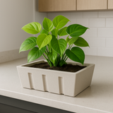 Kitchen Garden Planter Rotomolded Pots for Home & Garden (Pack of 1)