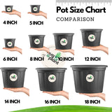 12 Inch Grower Plastic Pot Black