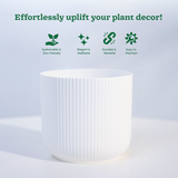 Ibiza 4 Inch Decorative Planters | Multicolour Planters | Ideal for Office, Home & Garden