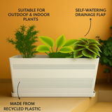 Cafe Rotomolded Pots for Home & Garden (Pack of 1)