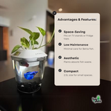 Hug A Plant | White Colour Beta Pot for Aquarium(2.5 ltr)