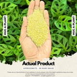 Yellow Sand for Decoration |Garden|Table|Terrariums| Home Decor|Vase Fillers