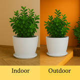 Nora Rotomolded Pots And Tray for Home & Garden (Pack of 1)