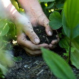 Hug A Plant PH Booster Organic Growth Booster - Enriched with Nutrients, Humic Acid & Phosphate