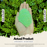 Green Sand for Decoration |Garden|Table|Terrariums| Home Decor|Vase Fillers