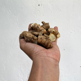 White Koova / East Indian Arrowroot / Tavakshira Tikhur Rhizome (Curcuma Angustifolia)