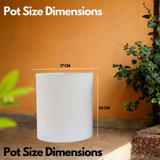 Dora Line Rotomolded Pot for Home & Garden (Pack of 1)