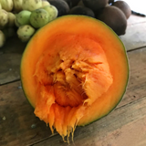 Chupa Chupa Fruit (Quararibea Cordata) Seedling Fruit Plant (Home & Garden Plants)