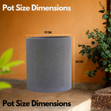 Dora Line Rotomolded Pot for Home & Garden (Pack of 1)