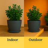 Nora Rotomolded Pots And Tray for Home & Garden (Pack of 1)