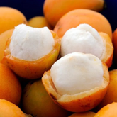 Achachairu (Garcinia Humilis) Seedling Fruit Plant (Home & Garden Plants)