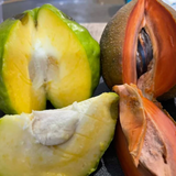 Red Faisan Fruit (Pouteria Viridis) Seedling Fruit Plant (Home & Garden Plants)